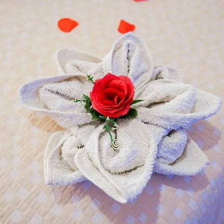 ベッド・アンド・ブレックファスト Le Del Nostromo 3*