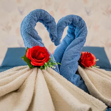 ベッド・アンド・ブレックファスト Le Del Nostromo